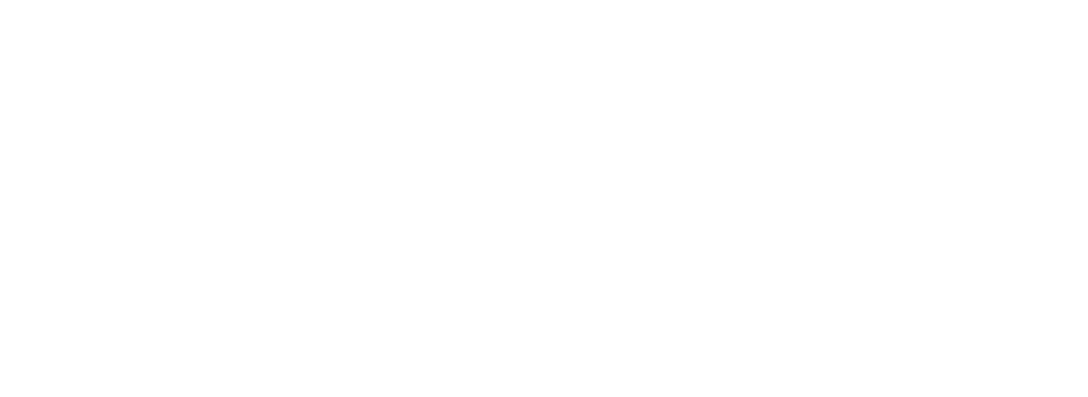 Wolfenstein 1 : The New Order